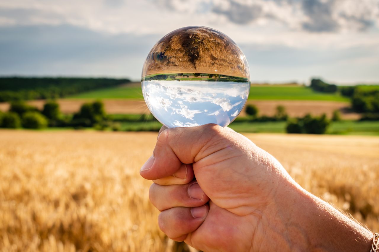 A hand holding a crystal ball reflecting a summer landscape of fields and sky.